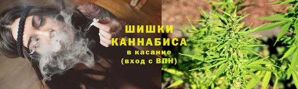 PSILOCYBIN Бронницы